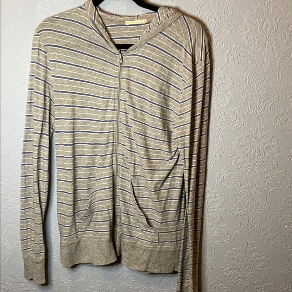 Alternative Apparel striped light hoodie